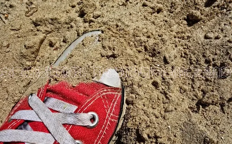 头号玩家娱乐平台